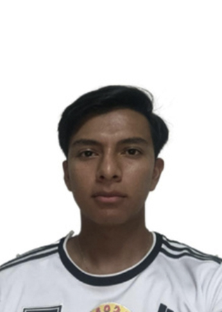 Ignacio Armendariz Martínez