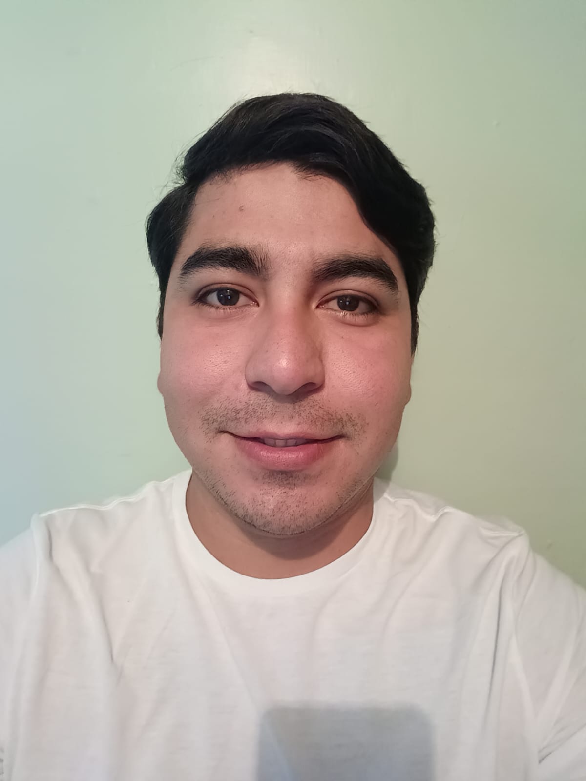 Brandon Marcelo Reyes Piñon