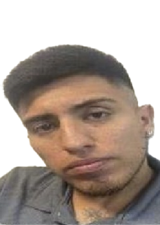 Juan Carlos Villalobos Torres