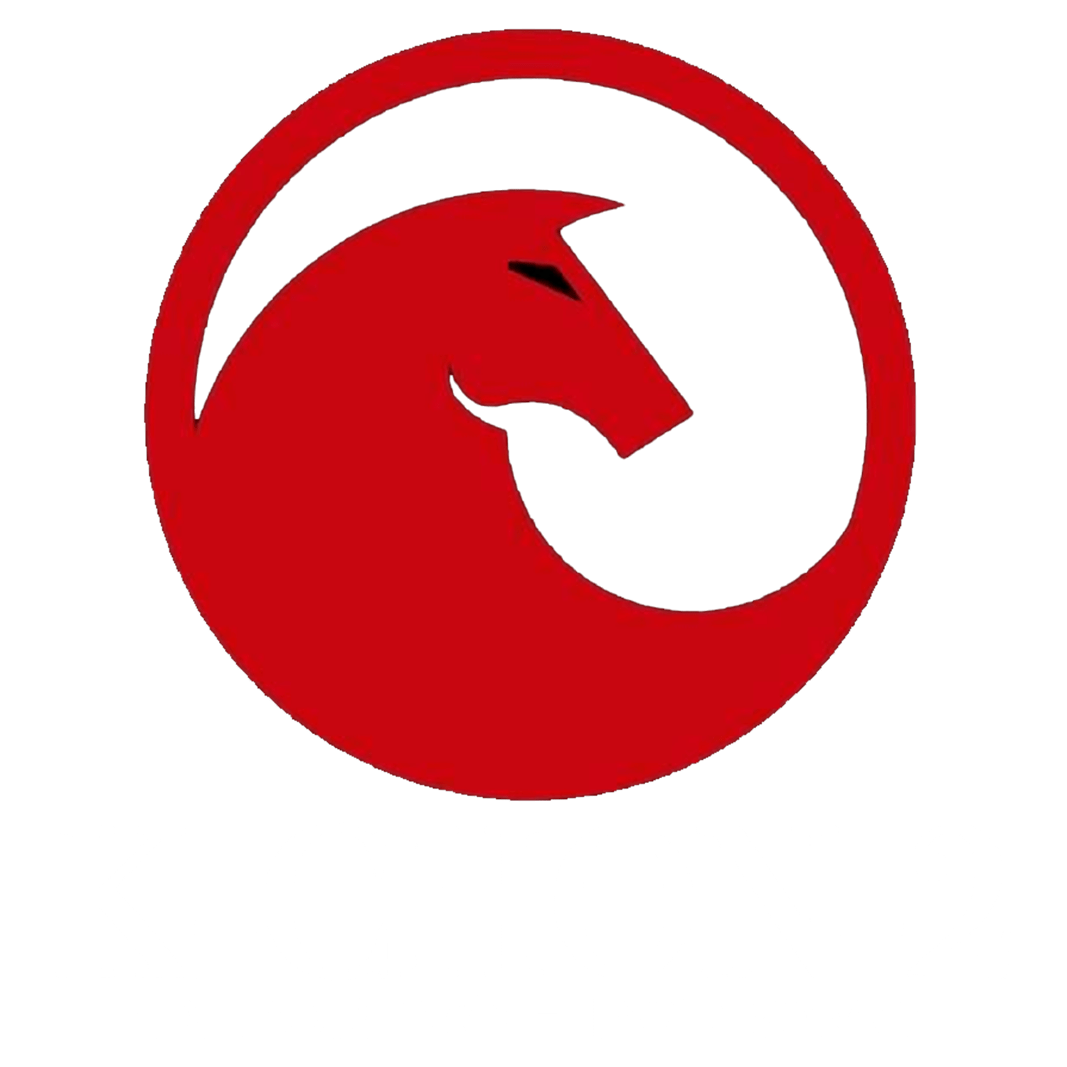 Logo del Equipo 1