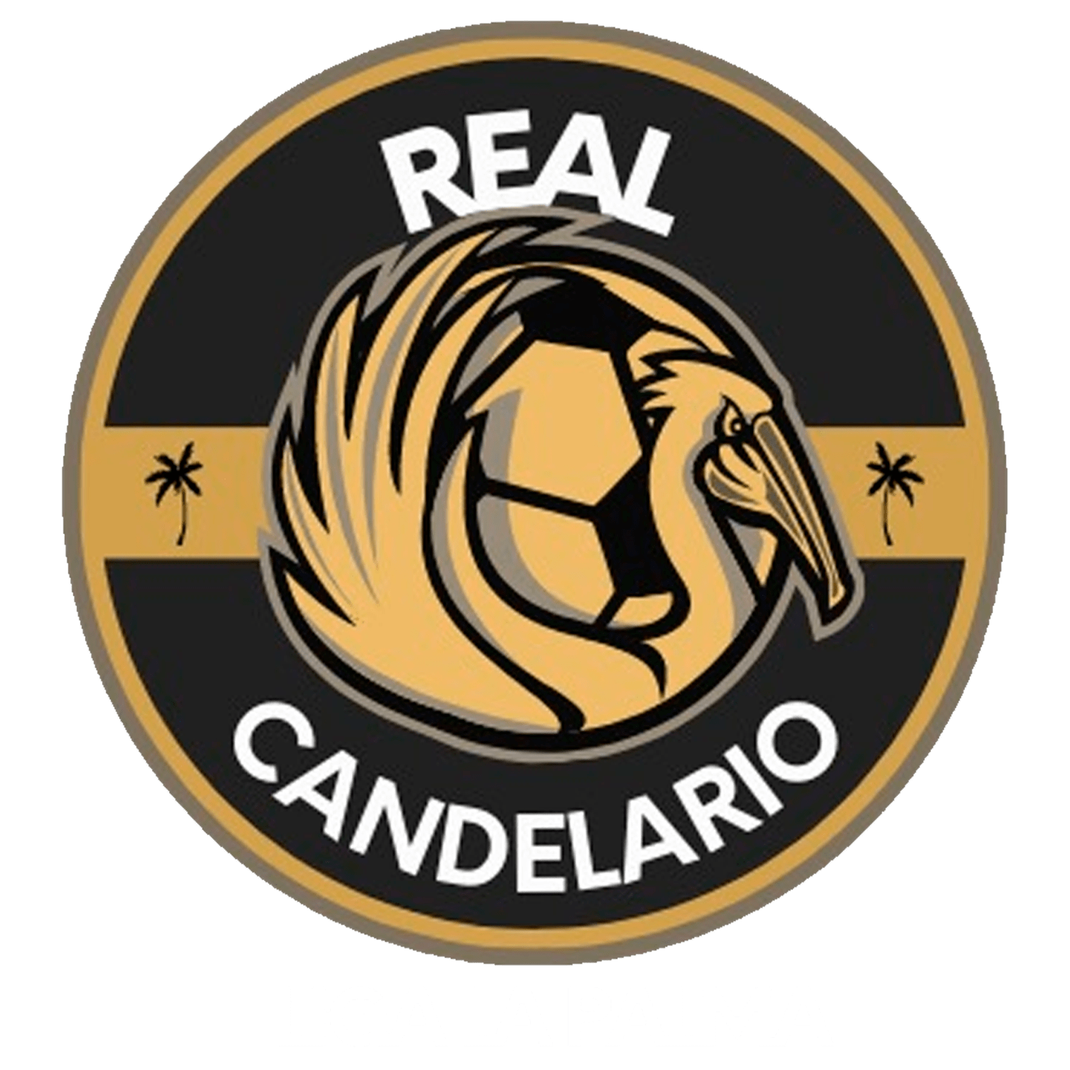 Logo del Equipo 1